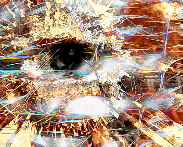 Eye through Abstraction